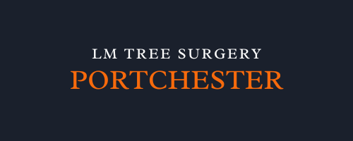 LM Tree Surgery Portchester